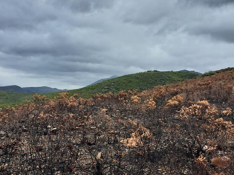 0 Bedroom Property for Sale in Kareedouw Eastern Cape